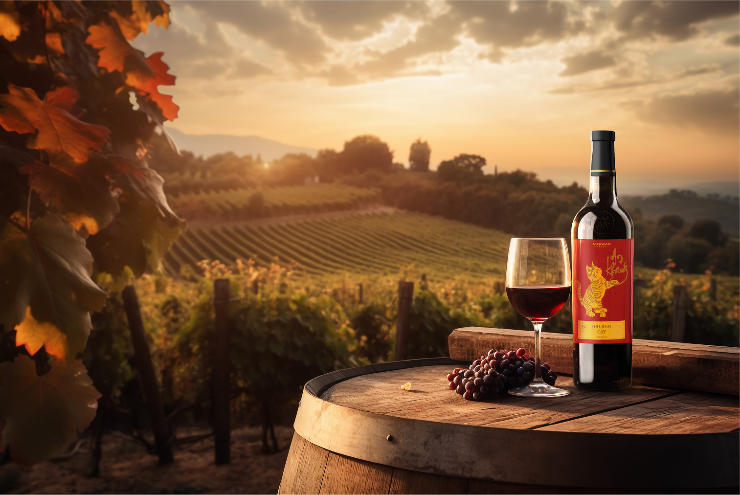 Tet Special Golden
Cat Merlot